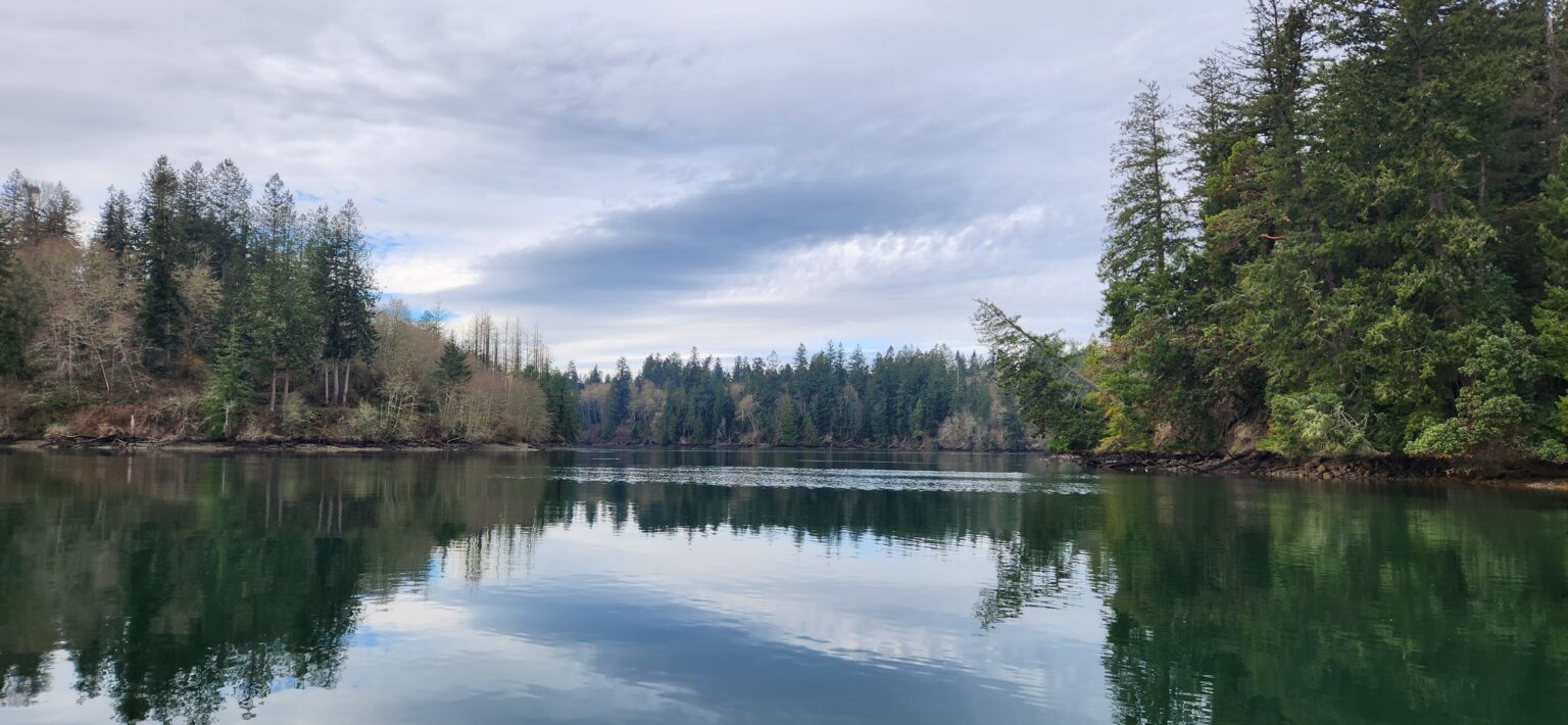 Read and Learn – Protect Henderson Inlet